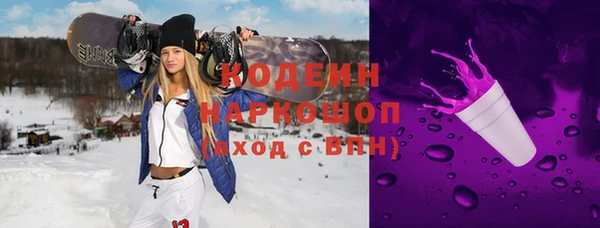 индика Баксан