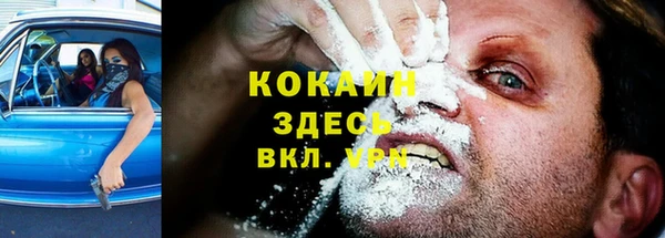 индика Баксан
