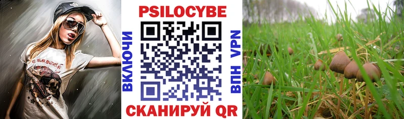 Галлюциногенные грибы мицелий  Тольятти 